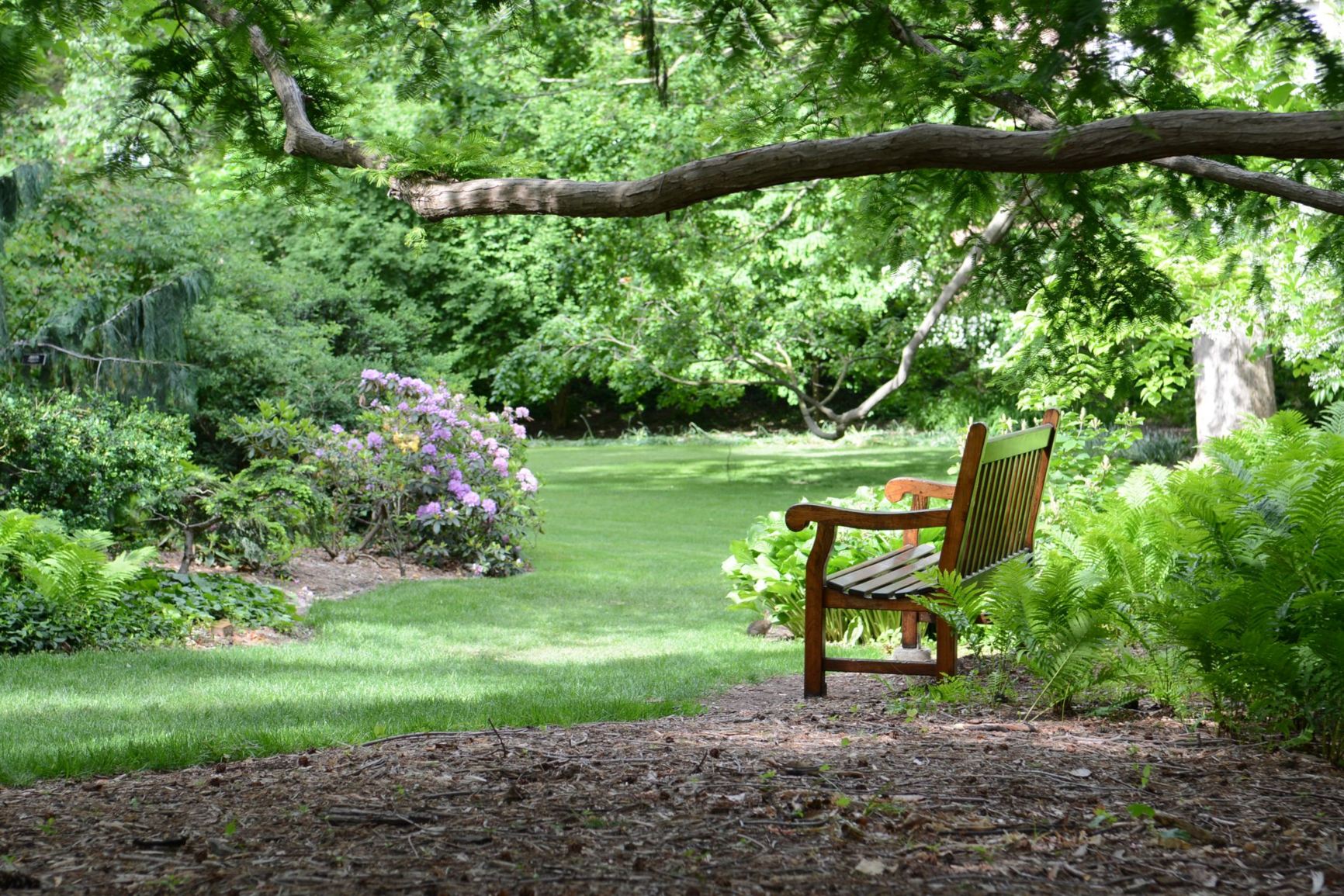 View from the garden and arboretum