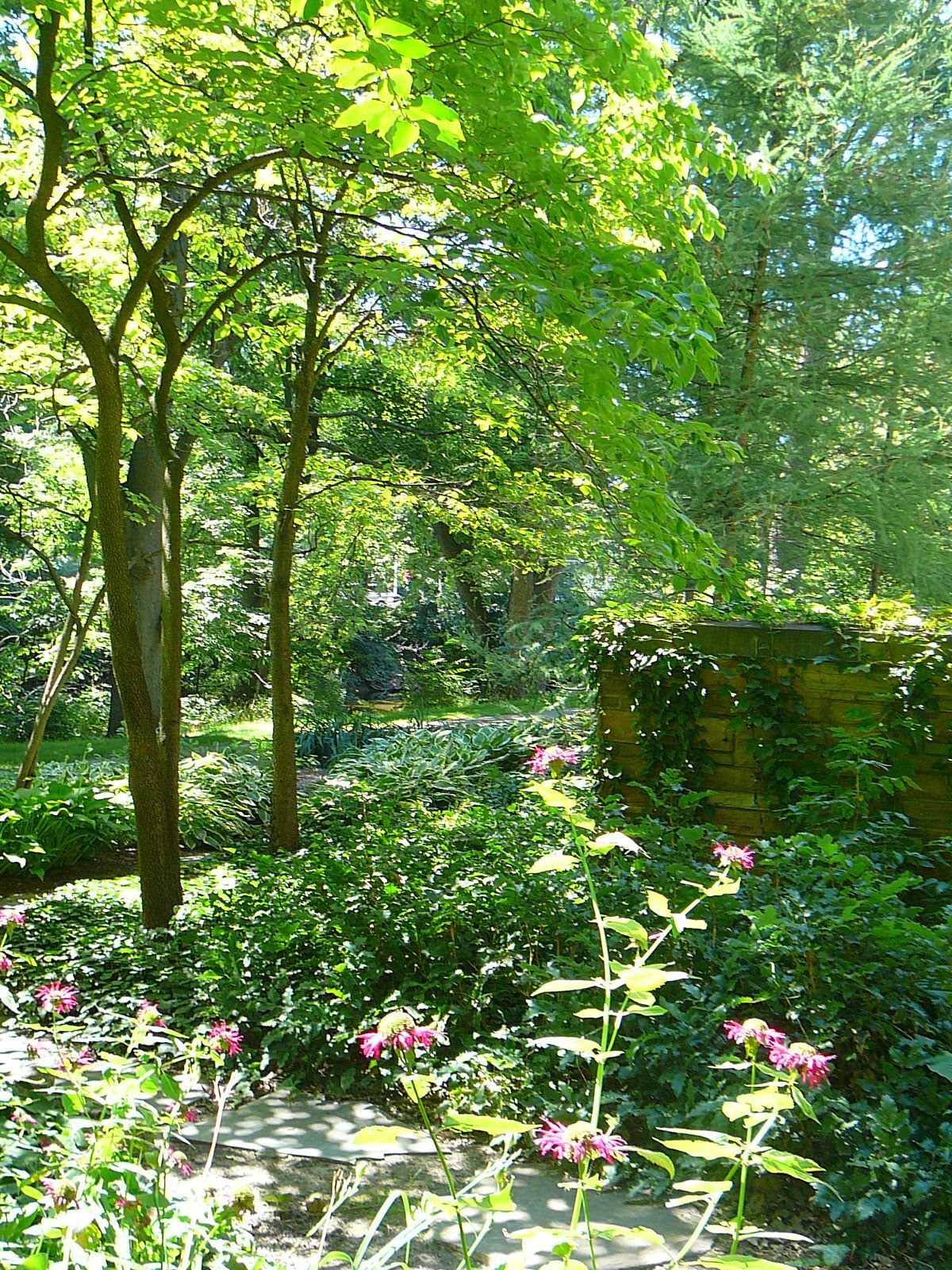 View from the garden and arboretum