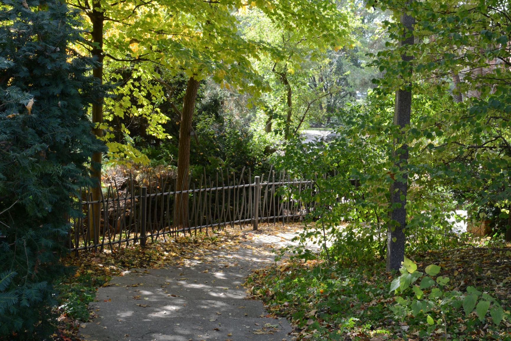 View from the garden and arboretum