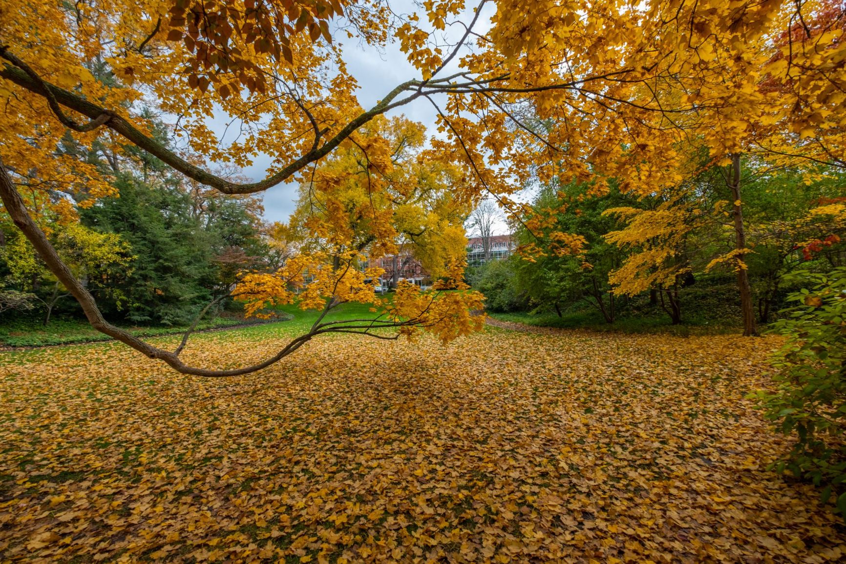 View from the garden and arboretum